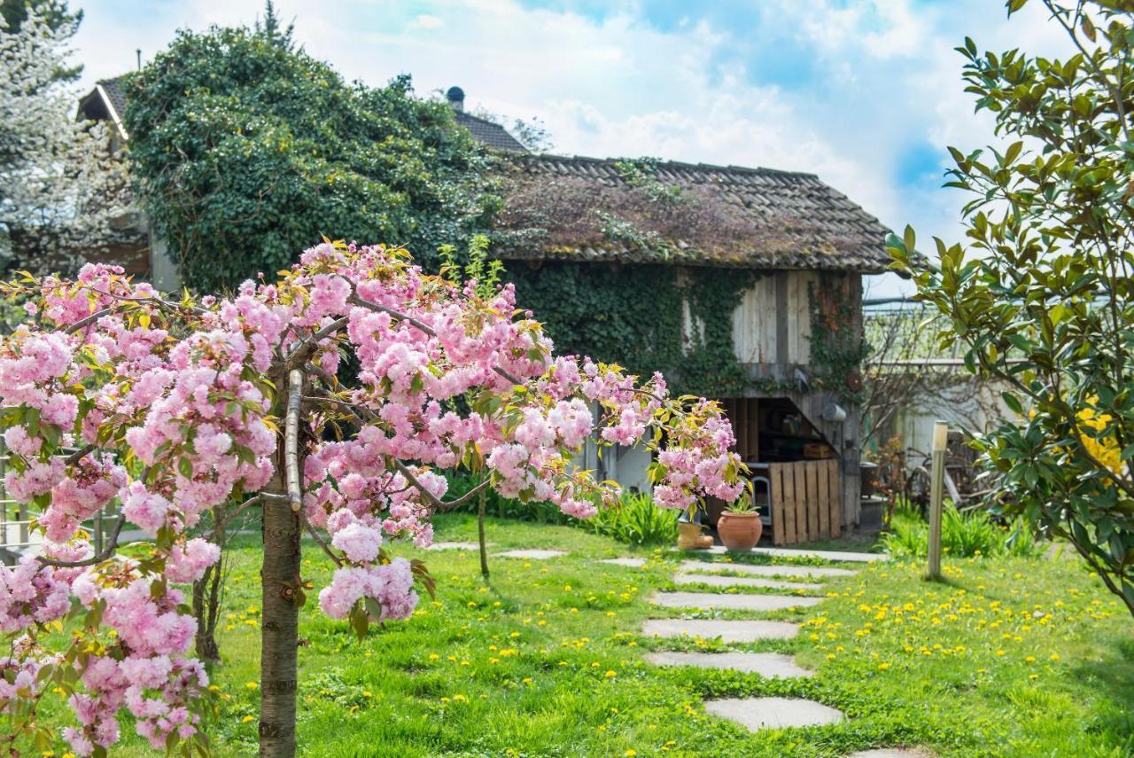 Villa Sonnenschein Terlano Esterno foto