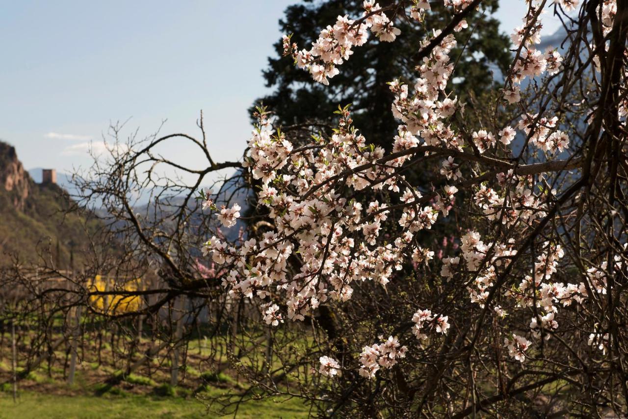 Villa Sonnenschein Terlano Esterno foto