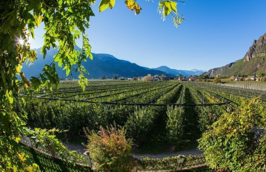 Villa Sonnenschein Terlano Esterno foto